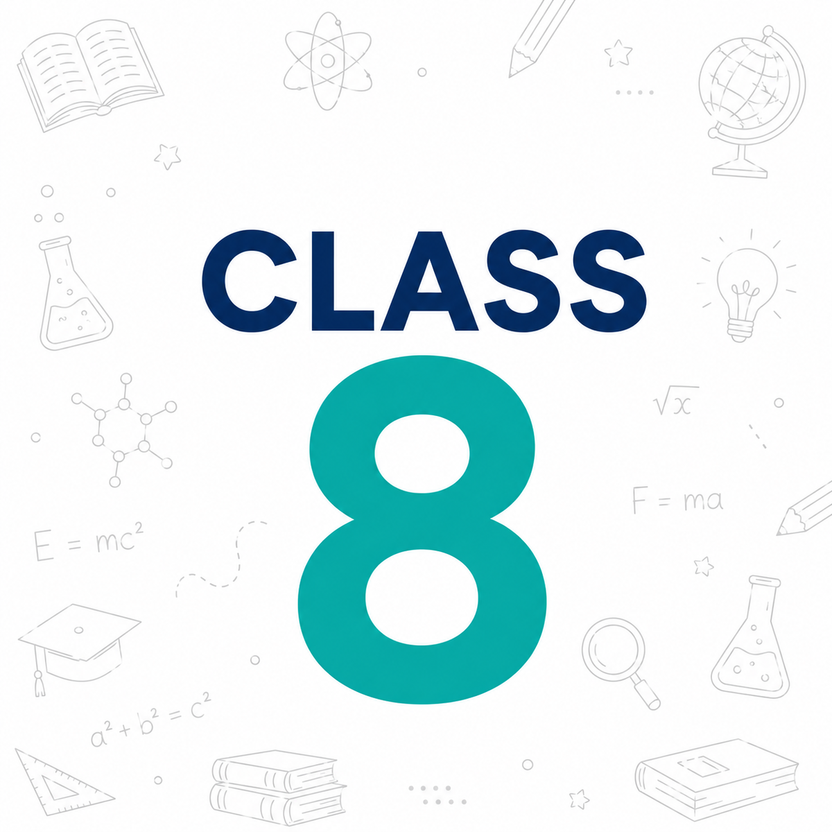 CLASS 8