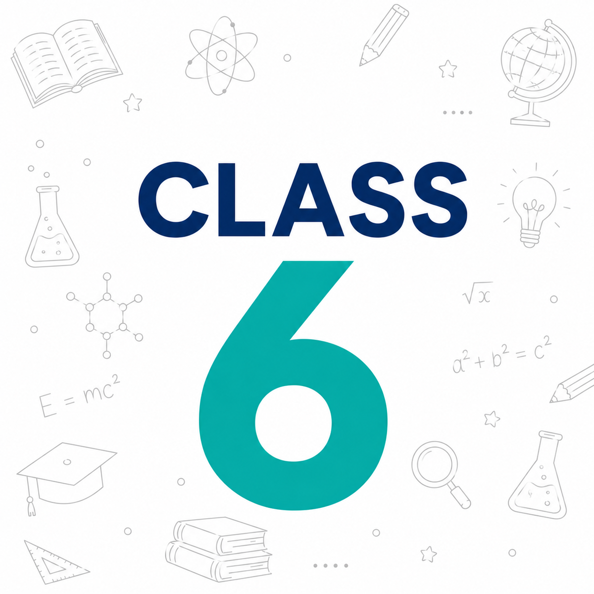 CLASS 6